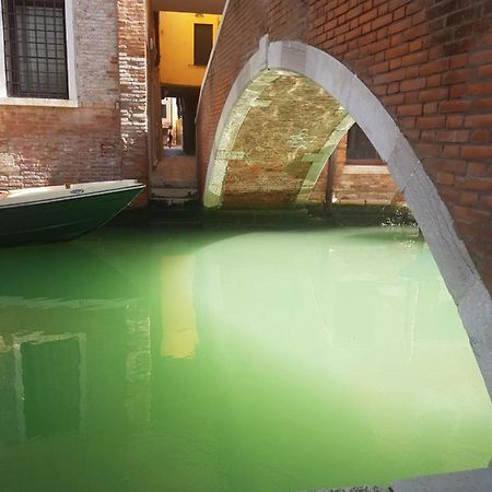 The Secret Garden In The Very Heart Of Venice Ngoại thất bức ảnh