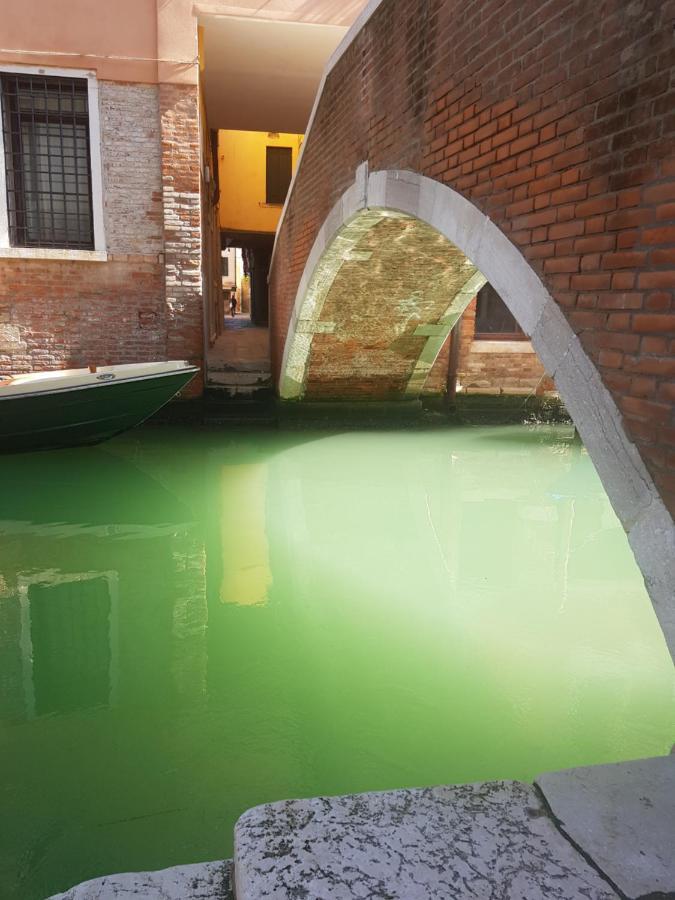 The Secret Garden In The Very Heart Of Venice Ngoại thất bức ảnh